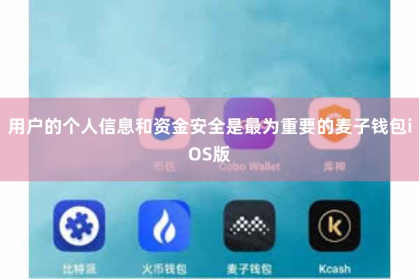 用户的个人信息和资金安全是最为重要的麦子钱包iOS版