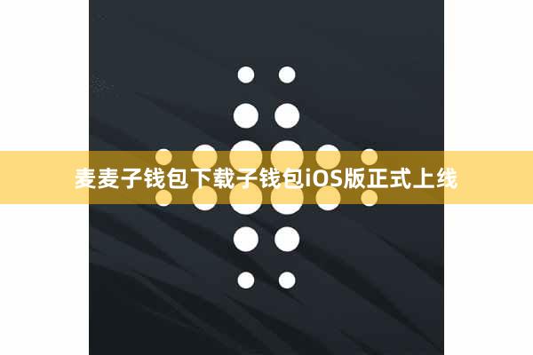 麦麦子钱包下载子钱包iOS版正式上线