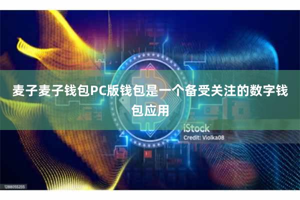 麦子麦子钱包PC版钱包是一个备受关注的数字钱包应用