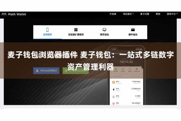 麦子钱包浏览器插件 麦子钱包：一站式多链数字资产管理利器