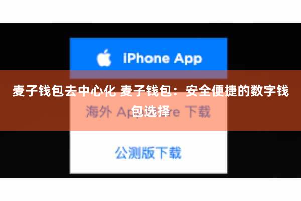 麦子钱包去中心化 麦子钱包：安全便捷的数字钱包选择