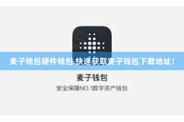 麦子钱包硬件钱包 快速获取麦子钱包下载地址！
