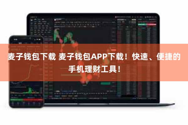 麦子钱包下载 麦子钱包APP下载！快速、便捷的手机理财工具！