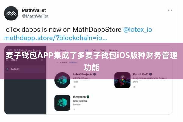 麦子钱包APP集成了多麦子钱包iOS版种财务管理功能