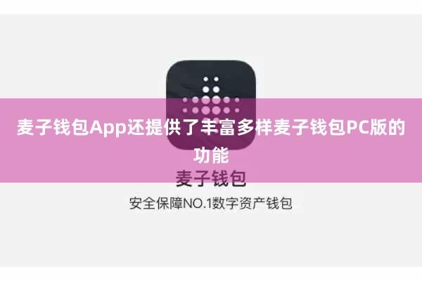 麦子钱包App还提供了丰富多样麦子钱包PC版的功能