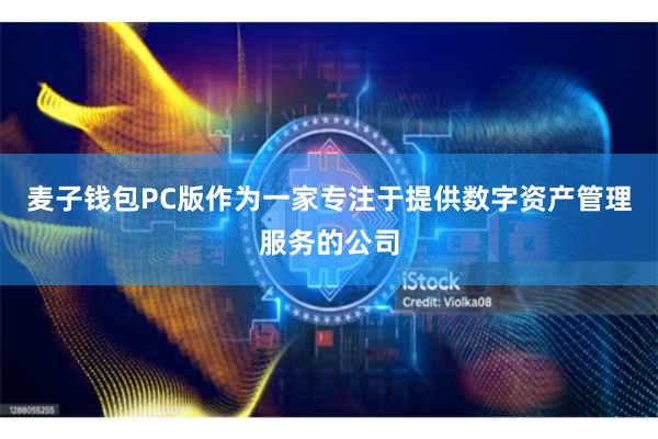 麦子钱包PC版作为一家专注于提供数字资产管理服务的公司