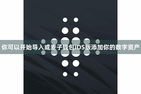 你可以开始导入或麦子钱包iOS版添加你的数字资产