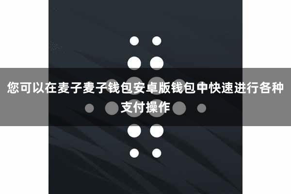 您可以在麦子麦子钱包安卓版钱包中快速进行各种支付操作