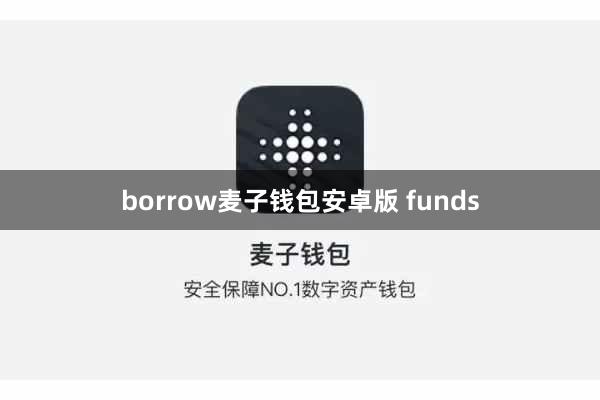 borrow麦子钱包安卓版 funds