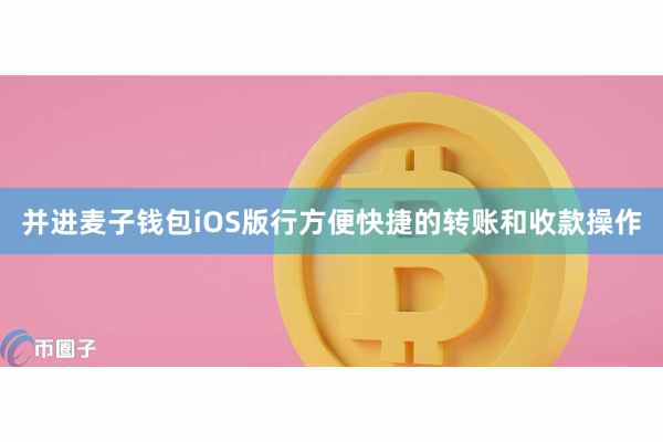 并进麦子钱包iOS版行方便快捷的转账和收款操作