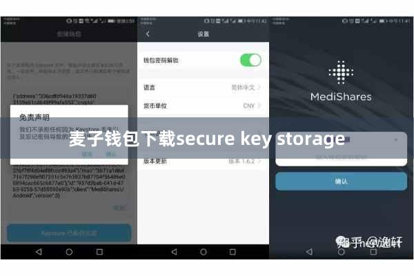 麦子钱包下载secure key storage