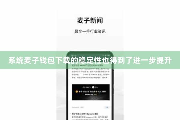 系统麦子钱包下载的稳定性也得到了进一步提升