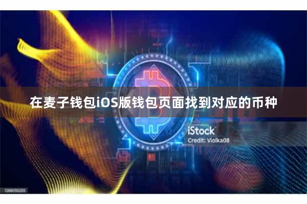 在麦子钱包iOS版钱包页面找到对应的币种