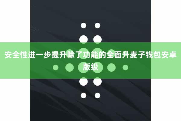 安全性进一步提升除了功能的全面升麦子钱包安卓版级
