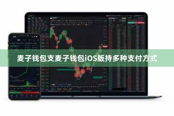麦子钱包支麦子钱包iOS版持多种支付方式