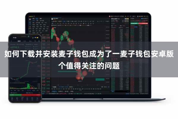 如何下载并安装麦子钱包成为了一麦子钱包安卓版个值得关注的问题