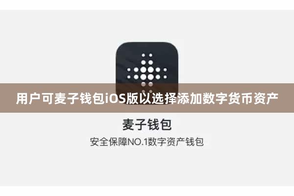 用户可麦子钱包iOS版以选择添加数字货币资产
