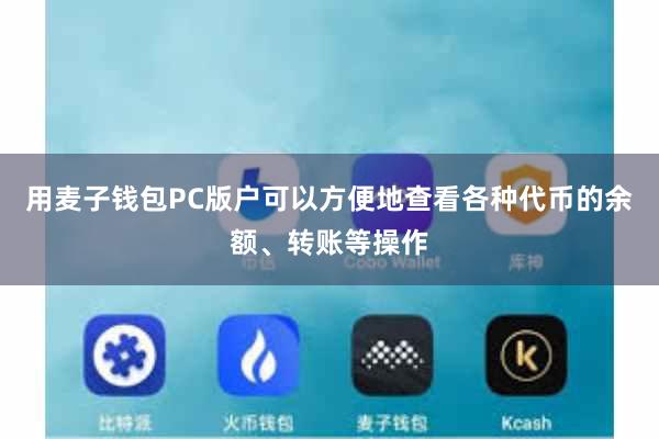 用麦子钱包PC版户可以方便地查看各种代币的余额、转账等操作