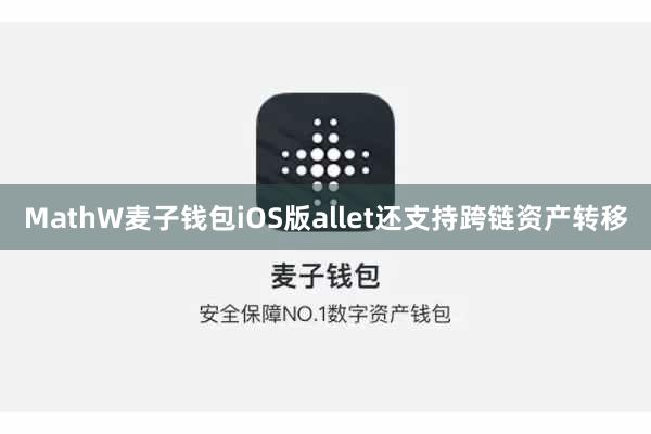 MathW麦子钱包iOS版allet还支持跨链资产转移