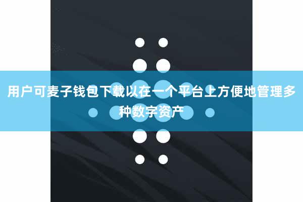 用户可麦子钱包下载以在一个平台上方便地管理多种数字资产