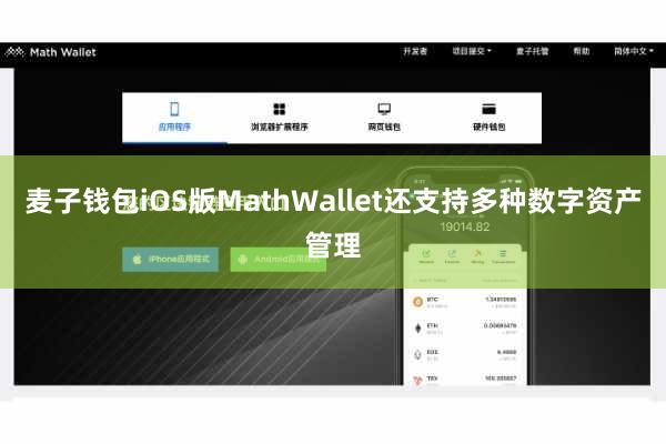 麦子钱包iOS版MathWallet还支持多种数字资产管理